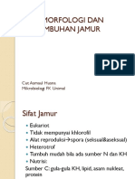 Morfologi Jamur Edit