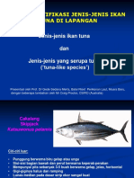 Mengidentifikasi Jenis-Jenis Ikan Tuna Di Lapangan