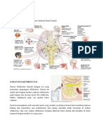 PBL SK 2 Neuro