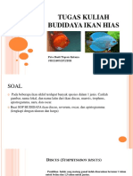 Tugas Kuliah Budidaya Ikan Hias