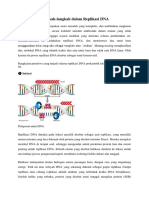 Langkah-Langkah Replikasi DNA