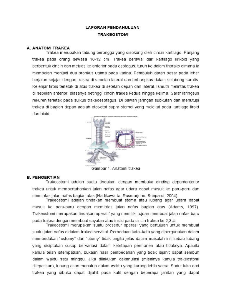 Panduan Lengkap Trakeostomi dan Fungsinya | PDF
