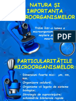 Importanta Microorganismelor