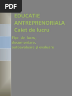 educatieantreprenoriala_auxiliar.pdf