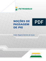 Noções de Passagem de PIG