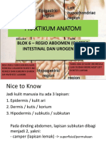 Resume Praktikum 1 - Struktur Anatomi Dinding Abdomen (DESKTOP-T1GEQVA's Conflic