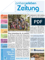 BadCamberg-Erleben / KW 24 / 18.06.2010 / Die Zeitung Als E-Paper