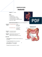 Cancer de Colon