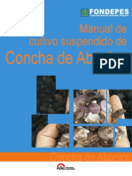 CONCHA ABANICO.pdf