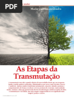 As Etapas da transmutação