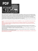 Evolução-questões com gabarito