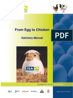 From Egg To Chicken Hatchery Manual