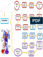 CIRCULACIÓN FETAL 