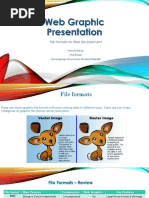 Web Graphic Presentation