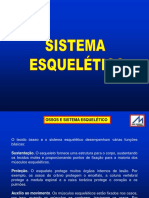 AULA-03 Ossos e Sistema Esquelético-Teórica