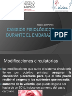 cambios fisiológicos en el embarazo