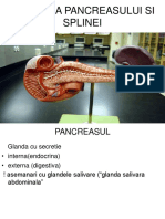 anatomia-pancreasului-si-splinei.ppt