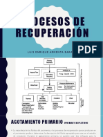 Procesos de Recuperación