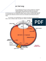 !!!!! Fysiologie Van Het Oog