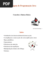Java Basico
