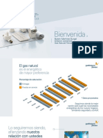 Memorias Seminario 2017 Gas Natural