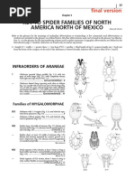 Key To Spider Families of North America North of Mexico: Final Version