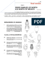 Key To Spider Families of North America North of Mexico: Final Version