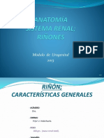 1 Anatomía Del Sistema Renal