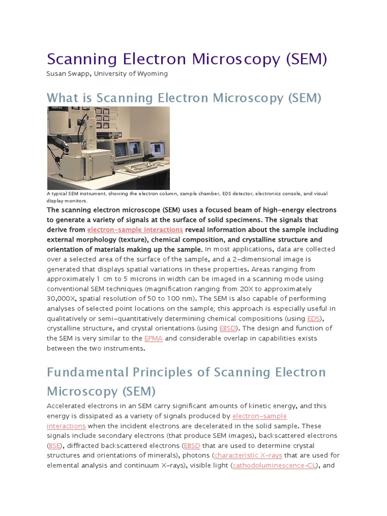 Scanning Electron Microscopy Overview | PDF | Scanning Electron ...