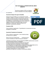 Instituciones Que Velan Por El Medio Ambiente