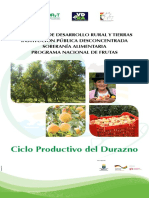 Ciclo productivo del durazno