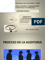 Proceso de La Auditoria de Gestion