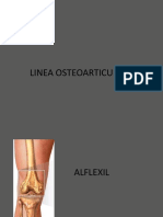 Linea Osteoarticular