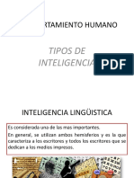 Tipos de Inteligencia