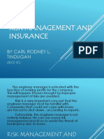 Risk Management and Insurance