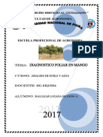 Diagnostico Foliar Del Mango