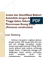 Isolasi Dan Identifikasi Bakteri Selulolitik Dengan Aktivitas Tinggi