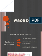 Placa Dental