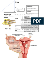 MIOMATOSIS.pptx