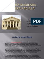 Artera Maxilara Si Faciala