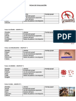 Ficha de Evaluación