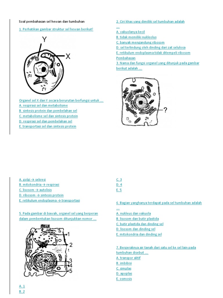 Soal 1