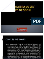 Bloqueadores de Los Canales de Sodio. Grupo Ia