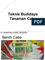 Teknis Budidaya Tanaman Cabe UPLOAD