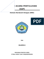 282634018-sap-DHF-doc.pdf