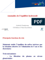 01 Anomalies de L Equilibre Hydrosode