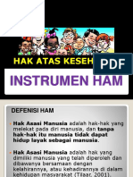 Instrumen HAM