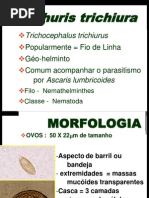 Trichuris Med 2010