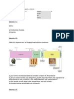 evaluacion_8425765__5a1d9521628d5.docx