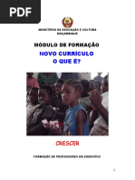 OSUWELA_Formacao Em Curriculo Local